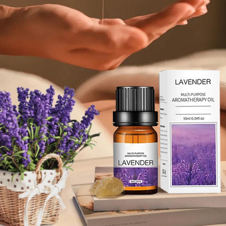 10ml Fragrance Oils Gift Box F - Soap Making Books ulasan dan harga