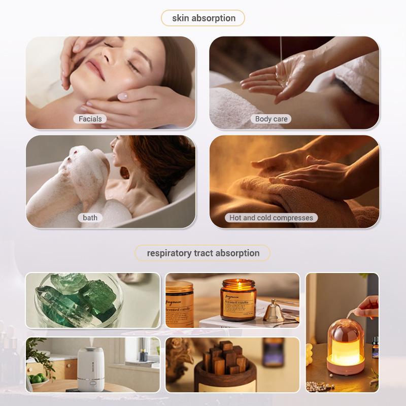 10ml Fragrance Oils Gift Box F - Soap Making Books ulasan dan harga
