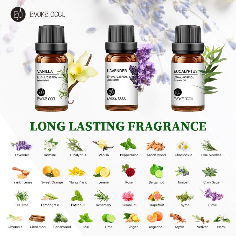 EVOKE OCCU 10mL Essential Oil, - Soap Making Essentials ulasan dan harga